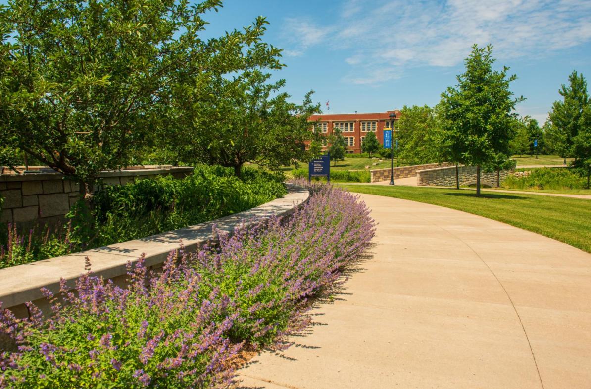 Lower campus in summer