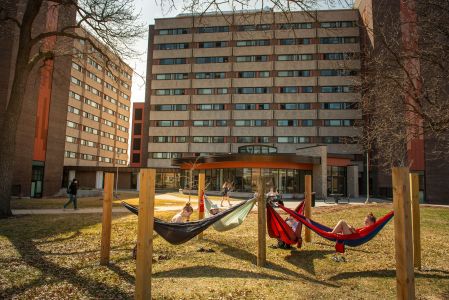 hammocks hanging on upper campus near residence halls
