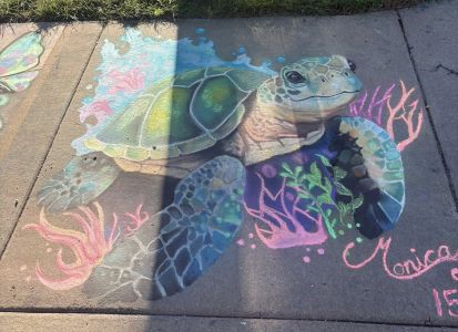 Chalk drawing of a turtle- runner up of Chalkfest youth category