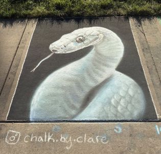 Chalk drawing of a snake- winner of Chalkfest youth category
