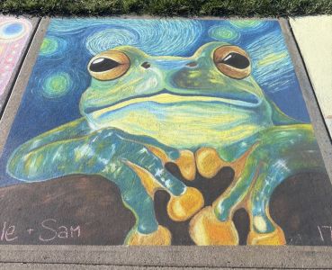 Chalk drawing of a frog- Jury Winner of Chalkfest Group category