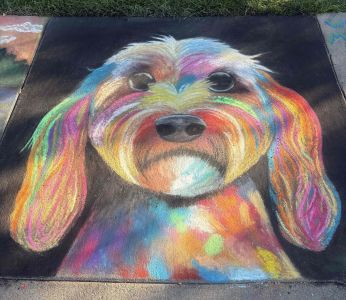 Chalk Drawing of a colorful dog | Chalkfest Audience Favorite runner up