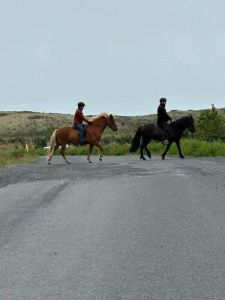UWEC student Elva Crist rides horseback across a road, behind another rider