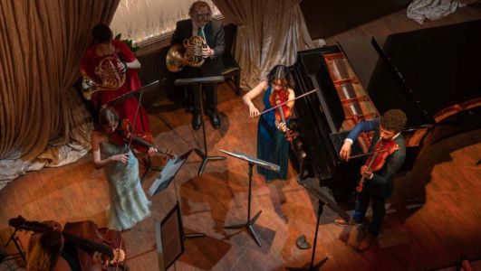 Viennese Ball Cabin chamber music
