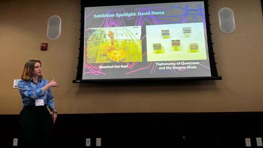 Carrie Schwartz Presenting on Art Exhibit