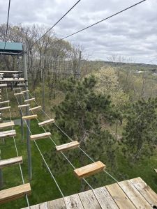 high ropes view