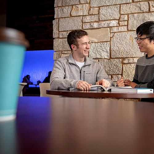 Language tutoring, Chinese