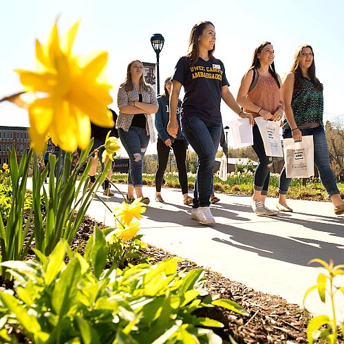 A group of people walking at the campus mall in sunny weather