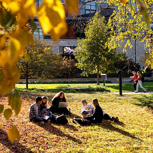 Students gather on the campus mall during a fall day to talk and study