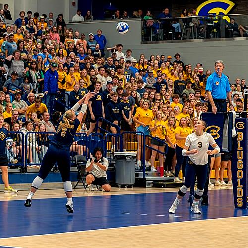 A wide shot of students cheering on Blugolds during a Volleyball Match.