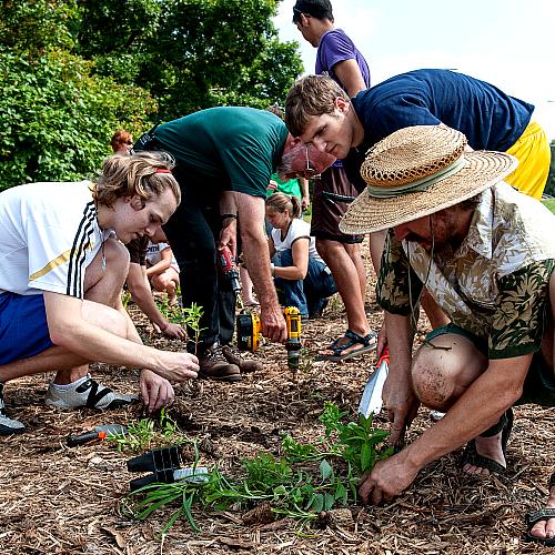 Students and faculty working in rain garden