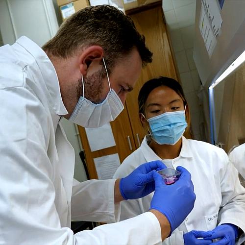 Students working in a lab